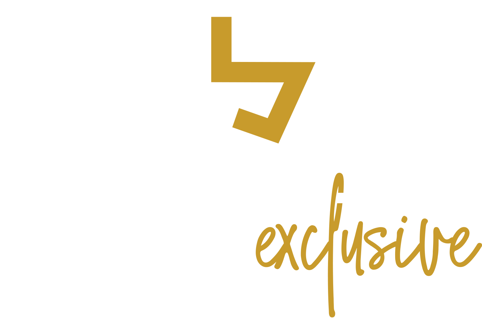 Logo STRAIGHT exclusive