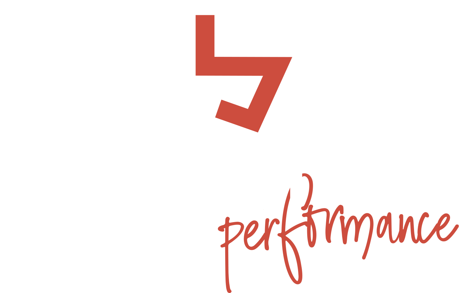 Logo STRAIGHT performance